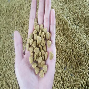 structure-of-fried-food-seasoning-machine