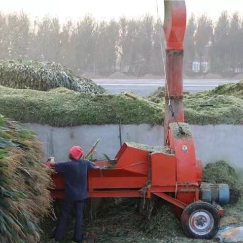 Nuovo design Grass Chaff Cutter